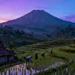 Fotografi panorama Kabupaten Kulon Progo Yogyakarta.