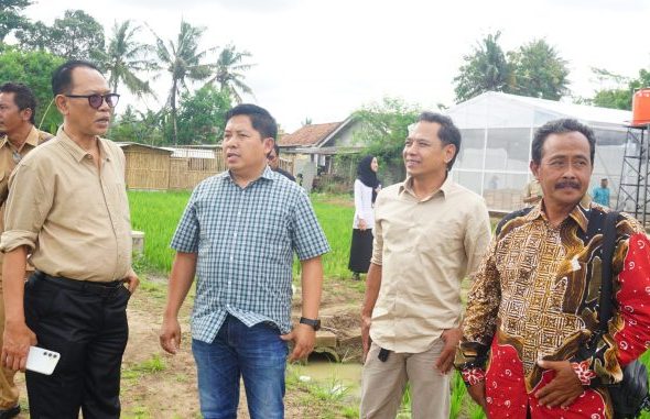 Komisi B DPRD DIY memantau Lumbung Mataraman Giripeni di Kulon Progo