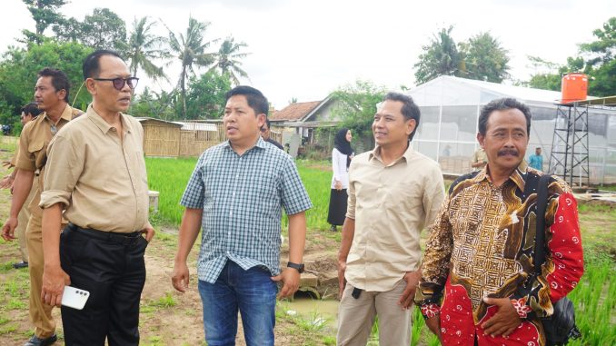 Komisi B DPRD DIY memantau Lumbung Mataraman Giripeni di Kulon Progo