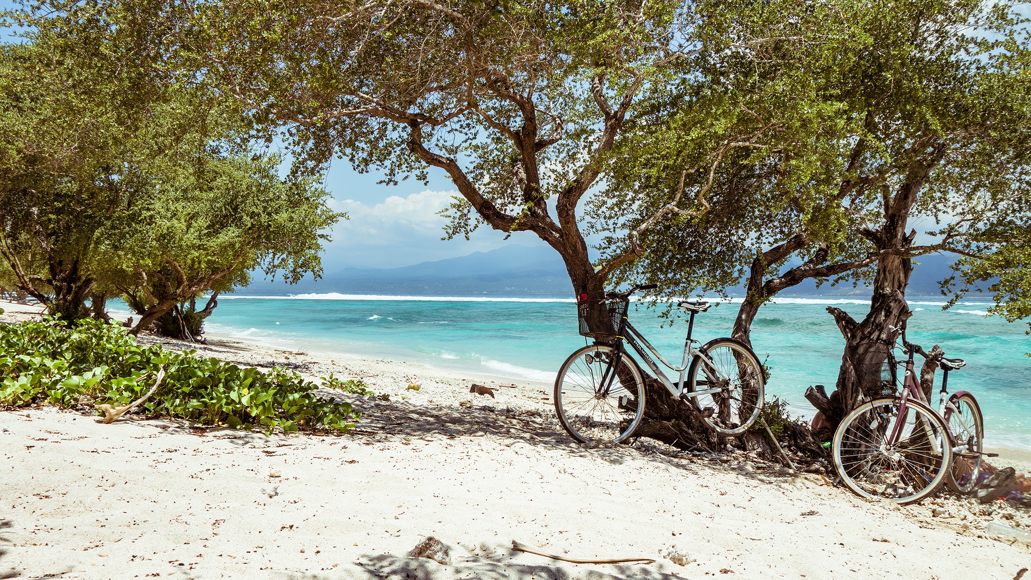 beach-sea-coast-tree-water-nature-sand-sun-shore-lake-bike-vacation-travel-holiday-bay-island-asia-body-of-water-white-sand-trees-turquoise-bicycles-exotic-indonesia-islands-bali-1279314.jpg