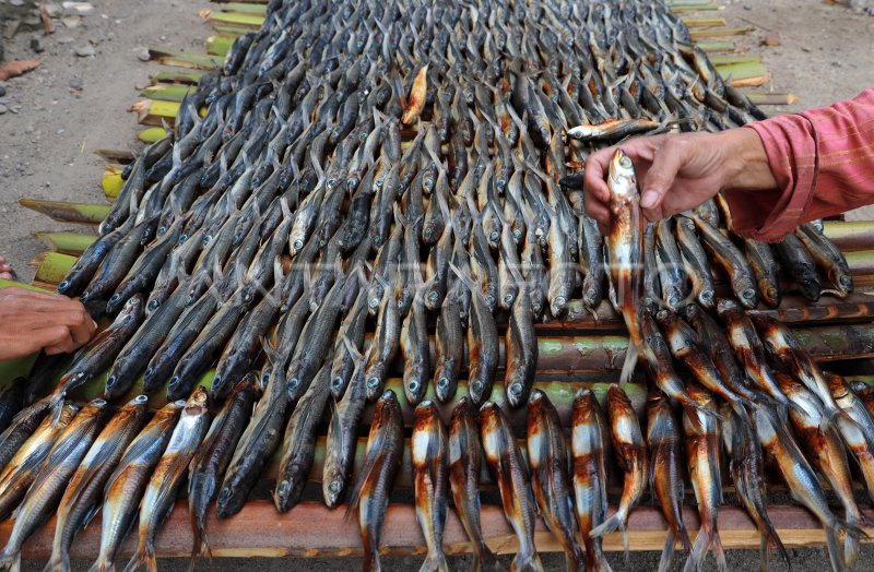 produksi-ikan-asap-khas-majene-yu4d-dom.jpg
