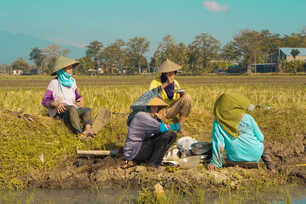 dampak melemahnya nilai tukar rupiah dan dolar pada petani dan masyarakat desa kampung.